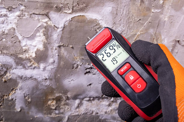 Best Best Mold Removal Companies  in Hazel Dell, WA